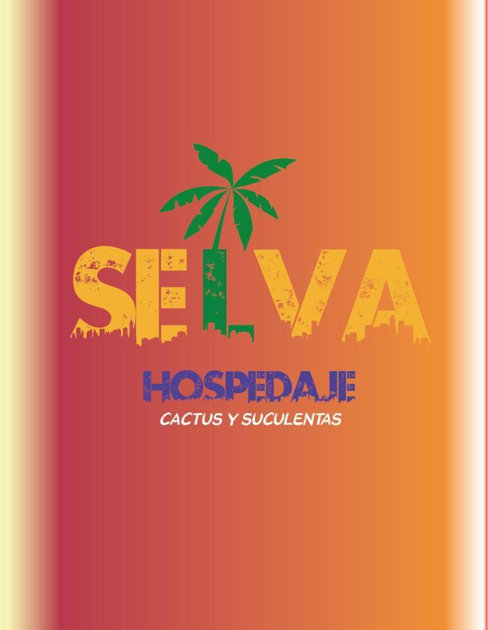 Selva Hospedaje Valparaiso Ngoại thất bức ảnh