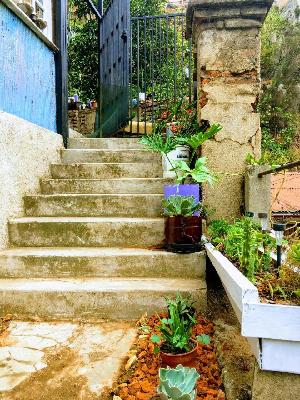 Selva Hospedaje Valparaiso Ngoại thất bức ảnh