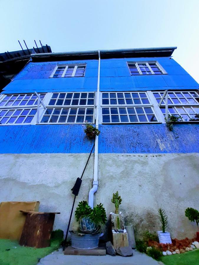 Selva Hospedaje Valparaiso Ngoại thất bức ảnh